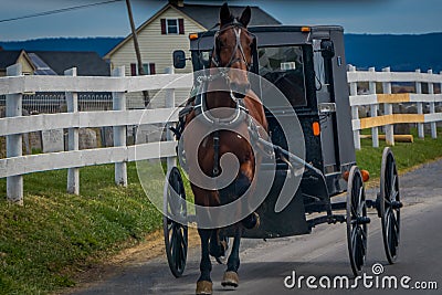 Outdoor view of Amish horse and carriage travels on a road in Lancaster County Editorial Stock Photo