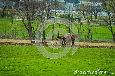 Outdoor view of unidentified man amish farmer using many horses hitch antique plow in the field Editorial Stock Photo