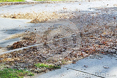 Outdoor worker clean the fallen leaves on the road by blower in autumn Stock Photo