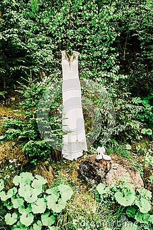 Outdoors Indie Wedding White Bridal Dress in Forest Stock Photo