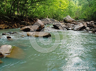 a man on a raft standing next to a stream in the woods Stock Photo