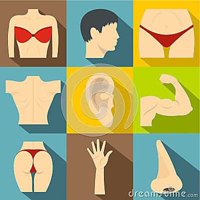 Outer part of body icons set, flat style Vector Illustration