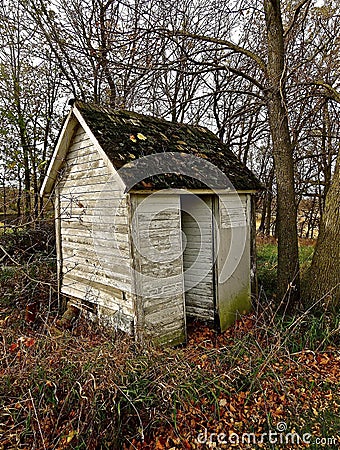 Outhouse in the Woods Stock Photo