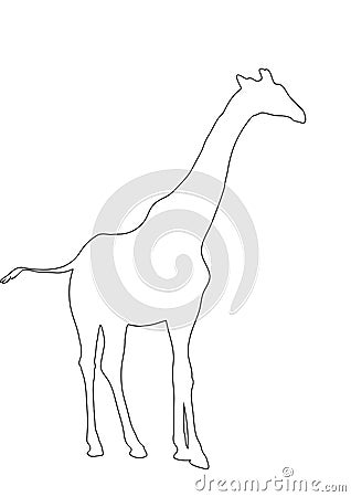 Outline of an african Giraffe Vector Illustration