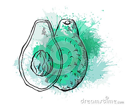 Outline avocado with green watercolor splashes. Front view. Ingredient for keto diet and guacamole. Vector line art vegetables Vector Illustration