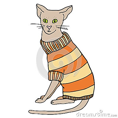 Outline cat in sweater sitting. Hand drawn cartoon colored contour vector illustration. Cute bold kitten in warm clothes for Vector Illustration