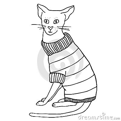 Outline cat in sweater sitting. Hand drawn contour vector illustration. Cute bold kitten in warm clothes for coloring Vector Illustration