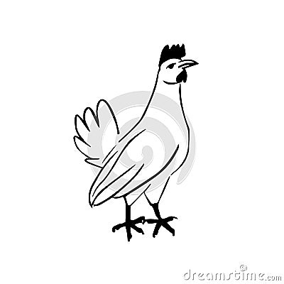 Outline chicken rooster illustration in minimalism style Vector Illustration