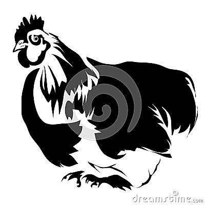 Outline chicken vector illustration Vector Illustration