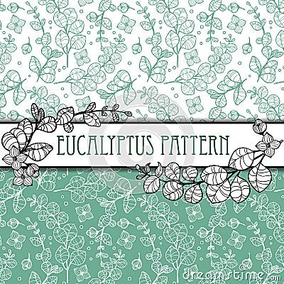 Outline elegant eucalyptus seamless pattern Vector Illustration