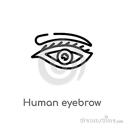 outline human eyebrow vector icon. isolated black simple line element illustration from human body parts concept. editable vector Vector Illustration