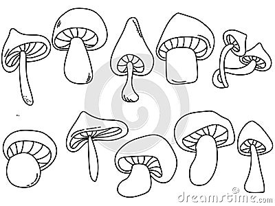 Outline mushrooms set, contour cap mushroom of various shapes and sizes Vector Illustration