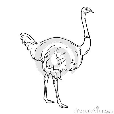 Outline ostrich icon Vector Illustration