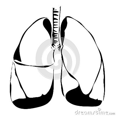 Outline pulmones human internal organs Vector Illustration