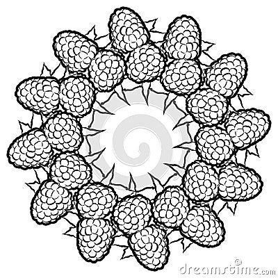 Outline sketch of raspberries arranged in a circle Vector Illustration