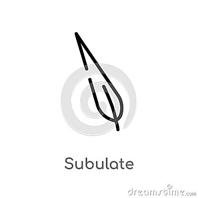 outline subulate vector icon. isolated black simple line element illustration from nature concept. editable vector stroke subulate Vector Illustration