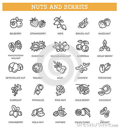 Web icons collection - nuts and berries. Vector symbols Vector Illustration