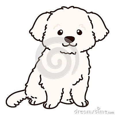 Outlined simple and adorable white Maltese dog sitting illustration Vector Illustration