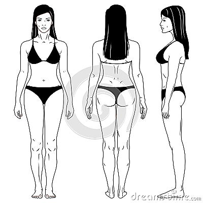 Outlined standing woman Vector Illustration