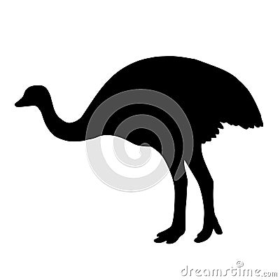 Outlines of an ostrich Vector Illustration