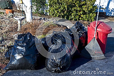 Outside Cleanup Stock Photo