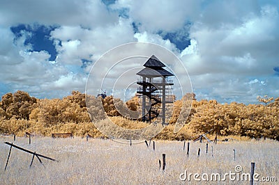 Outside of Mangrove education center in near infared style by IR Stock Photo