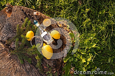 Outside photo, natural view in park. Instruction of non toxic home cleaning detergent in glass recipe:vinegar, essential Stock Photo