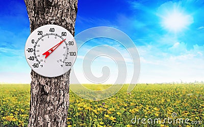 Outdoor thermometer on a tree - 70 Degree Fahrenheit Spring Temperature Stock Photo