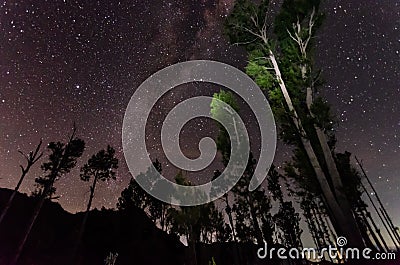 The outstanding beauty and clarity of the Milky way and the starry sky captured from high altitude on the mount bromo, indonesia. Stock Photo