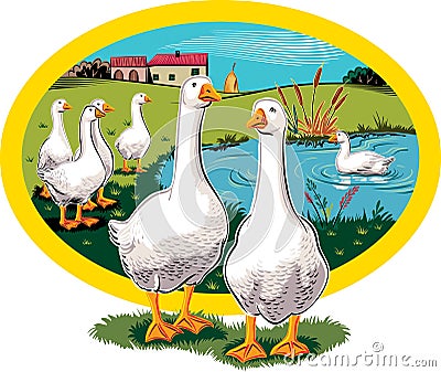 Oval frame with geese. Stock Photo