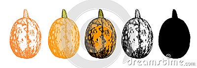 Oval orange pumpkin. Drawn in a sketch style, the whole pumpkin is orange in color, oval in shape with a texture of spots and Vector Illustration