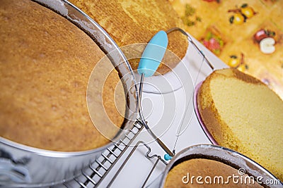 Oven baked yellow cake Stock Photo