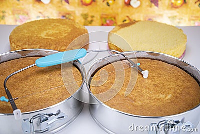 Oven baked yellow cake Stock Photo
