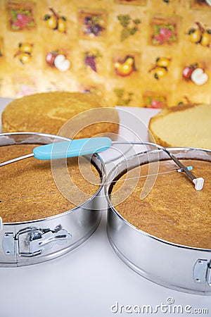 Oven baked yellow cake Stock Photo