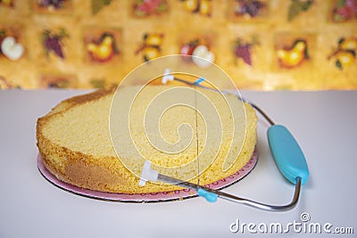 Oven baked yellow cake Stock Photo