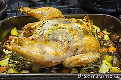 Oven Roasted Herb Chicken Stock Photo