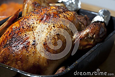 Oven Roasted Turkey Stock Photo