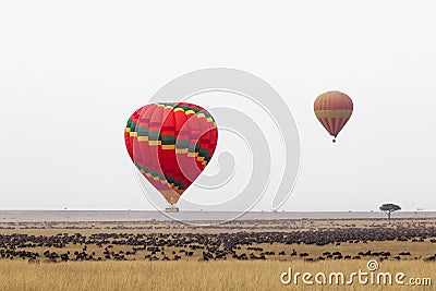 Over the great herds of Africa. Flight in a hot air balloon. Kenya, Africa Stock Photo