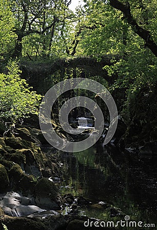 Over grown Faerie bridges spanning a deep gorge to a river Stock Photo