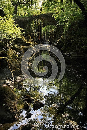 Over grown Faerie bridges spanning a deep gorge to a river Stock Photo