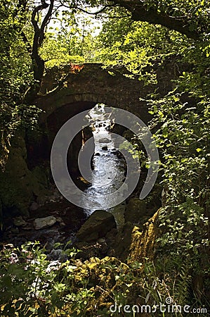 Over grown Faerie Footbridge spanning a deep gorge to a river Stock Photo