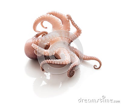 Over a small octopus Stock Photo