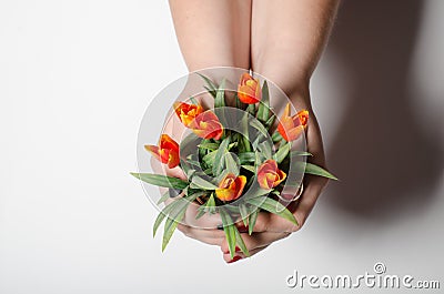 Over white background girl holding flowers Stock Photo
