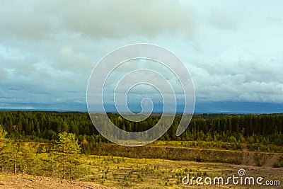 Overcast sky over the forest Stock Photo