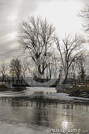 Overexposed sun behind deciduous trees in winter reflecting into the ice sheet of a river Stock Photo