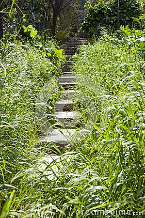 Overgrown grassy stone steps stairs in summer garden natural landscape Stock Photo