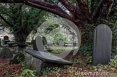 Overgrown grave yard Stock Photo