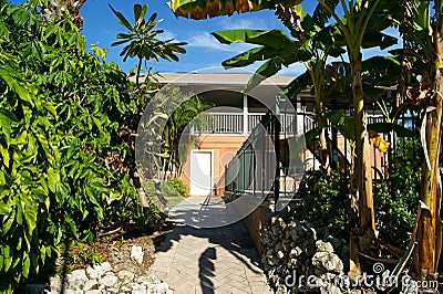 Overgrown walkway leading to house Stock Photo