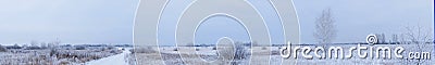 Overgrowth, bushes, trees and meadow in snow and magical frost Stock Photo