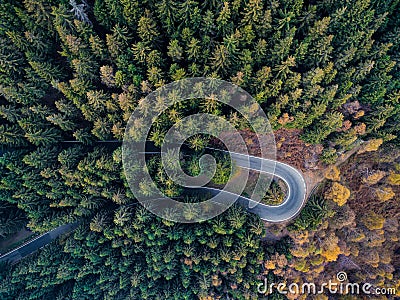 Overhead aerial top view over hairpin turn road bend in countryside autumn pine forest.Fall orange,green,yellow,red tree Stock Photo